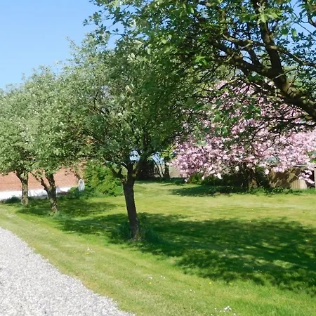 Skjaernsode דירה *